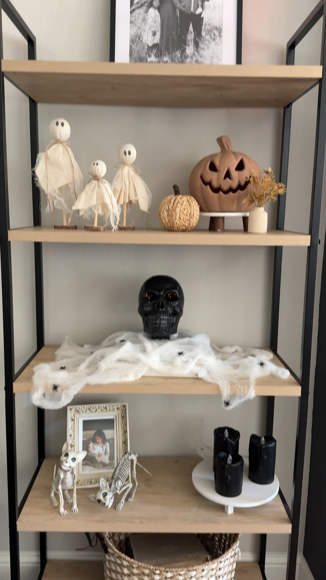 All my favorite Halloween favs! 