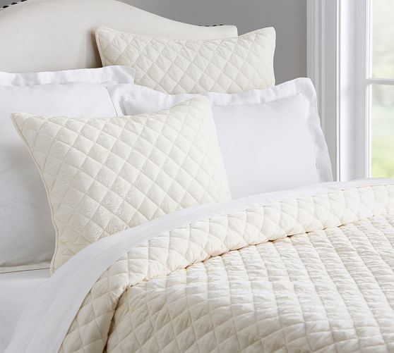 Nia Velvet Quilt & Sham | Pottery Barn (US)