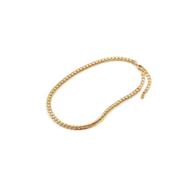 Priya Snake Chain Anklet | Jenny Bird (US)