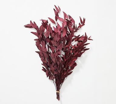 Dried Burgundy Eucalyptus Bundle | Pottery Barn (US)