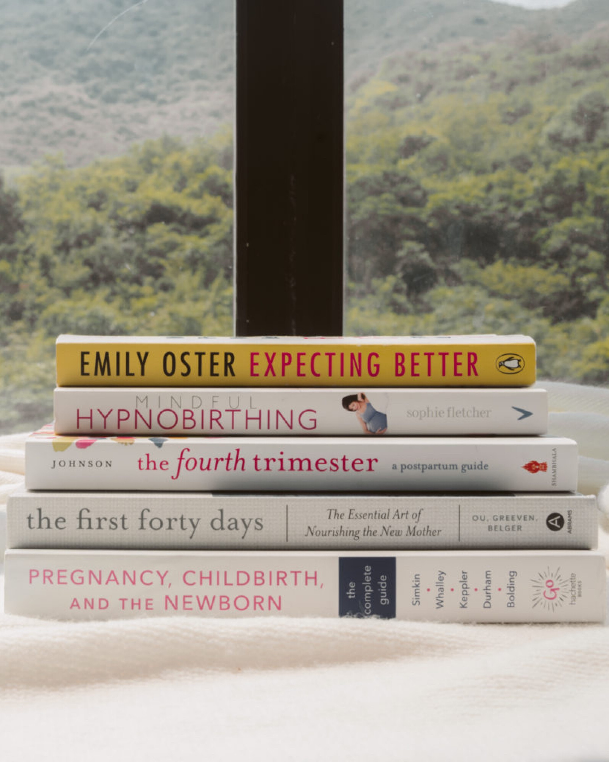 My go-to pregnancy and postpartum books I’ve read this pregnancy. 

#LTKhome #LTKbaby #LTKbump