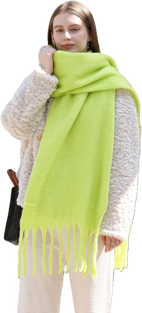 Wander Agio Winter Warm Scarf Long Pashmina Extra Large Shawls and Wraps for Women Large Blanket ... | Amazon (US)