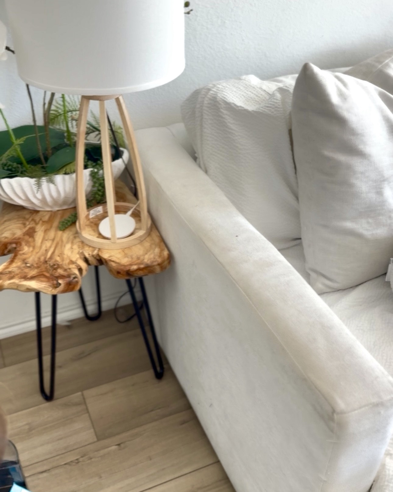 The easiest and effective carpet/upholstery cleaner for your home

#LTKSaleAlert #LTKPets #LTKHome