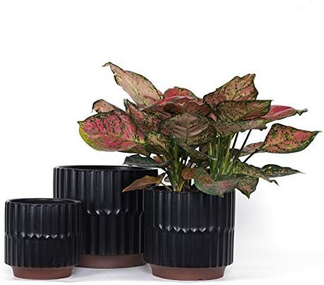 Fengson Large Plant Pots with Drainage Holes,8+6.5+5.5 Inch Ceramic Flower Pot Garden Planters,In... | Amazon (US)