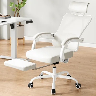 Ergonomic Office Chair with Footrest,Mesh Office Desk Chair with Headrest,High Back Computer Chair with Adjustable Lumbar Support for Office Study Roo | Wayfair North America