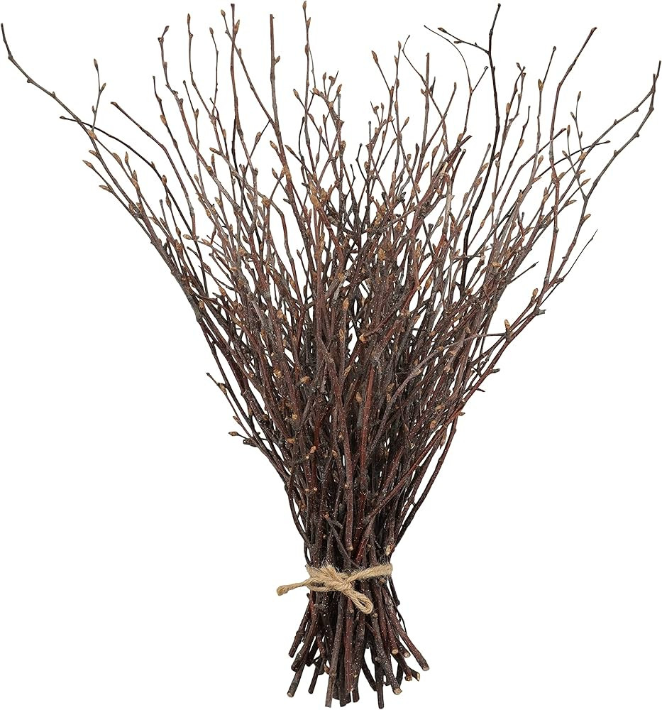 Uieke 50PCS Birch Twigs – 17 Inch Natural Dried Plants Decorative Birch Branches for DIY Crafts, Bir | Amazon (US)