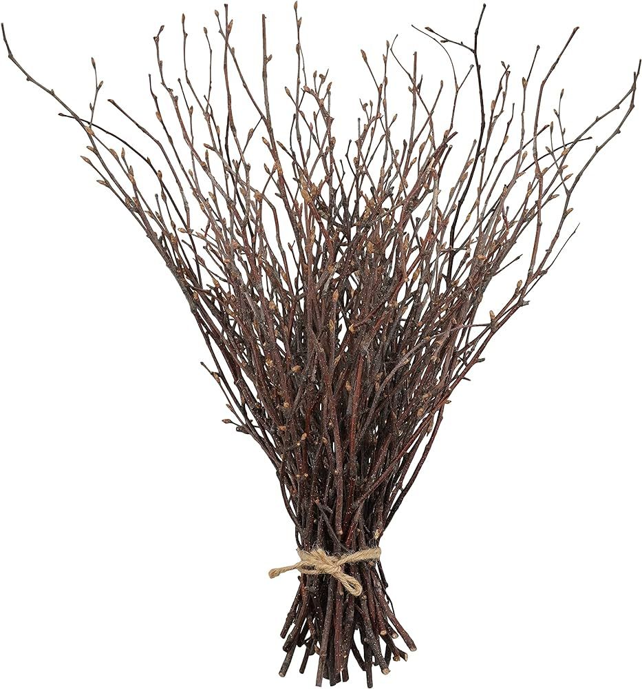 Uieke 50PCS Birch Twigs – 17 Inch Natural Dried Plants Decorative Birch Branches for DIY Crafts, Bir | Amazon (US)