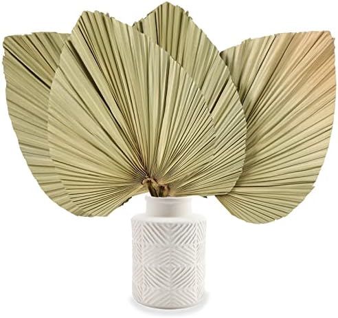 Trimmed Natural Dried Palm Leaves 4Pcs 18" H x 10.6" W MrHsiang Palm Spears Plant for Boho Wedding D | Amazon (US)