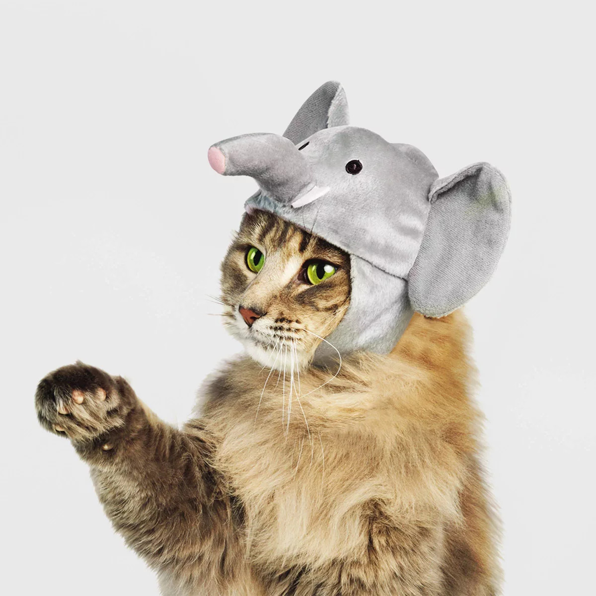 Halloween Elephant Cat Headwear - Hyde & EEK! Boutique™ | Target