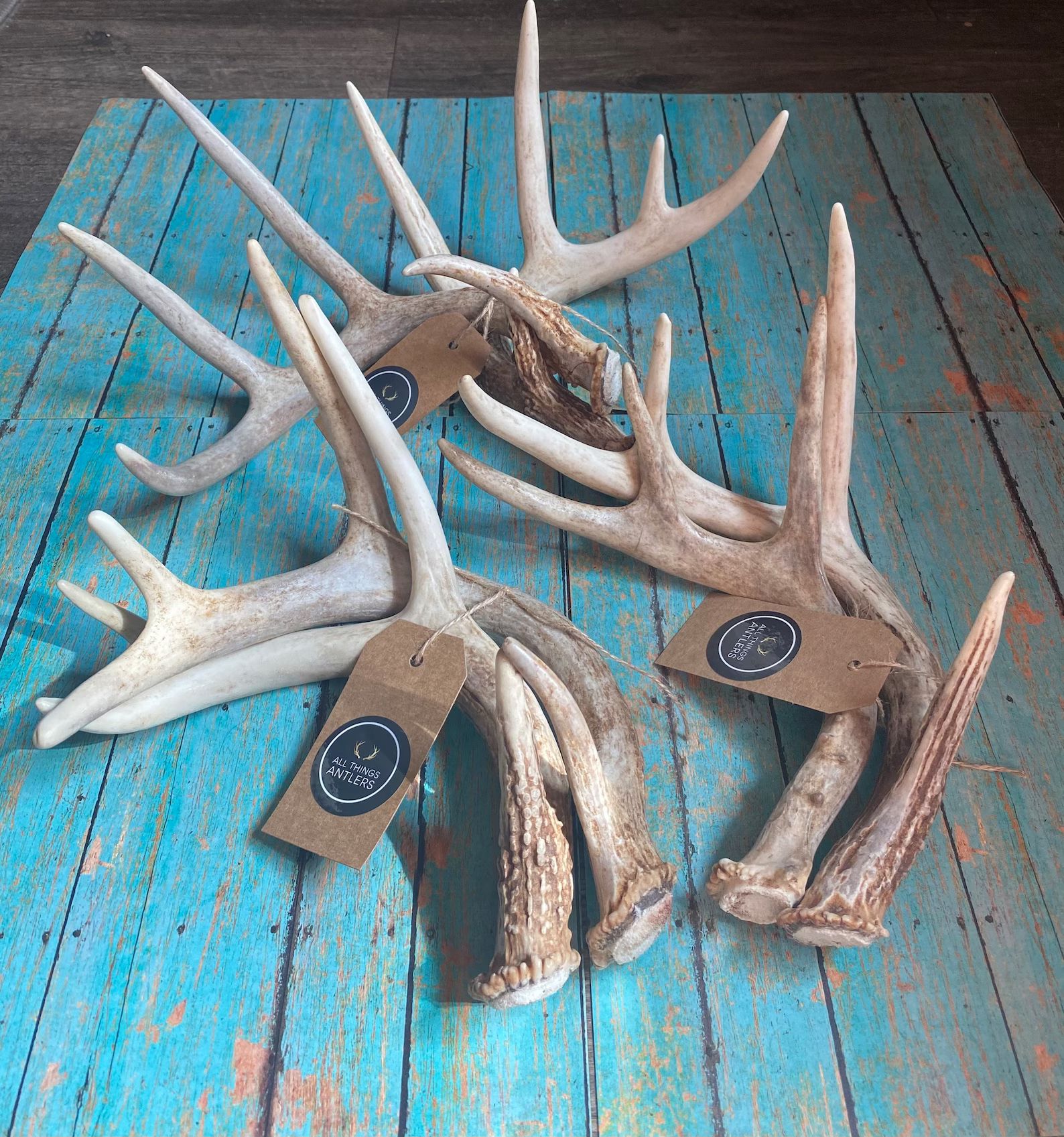 2 Pack Deer Antler. Craft Antler. Grade A Deer Antler. Shed | Etsy | Etsy (US)