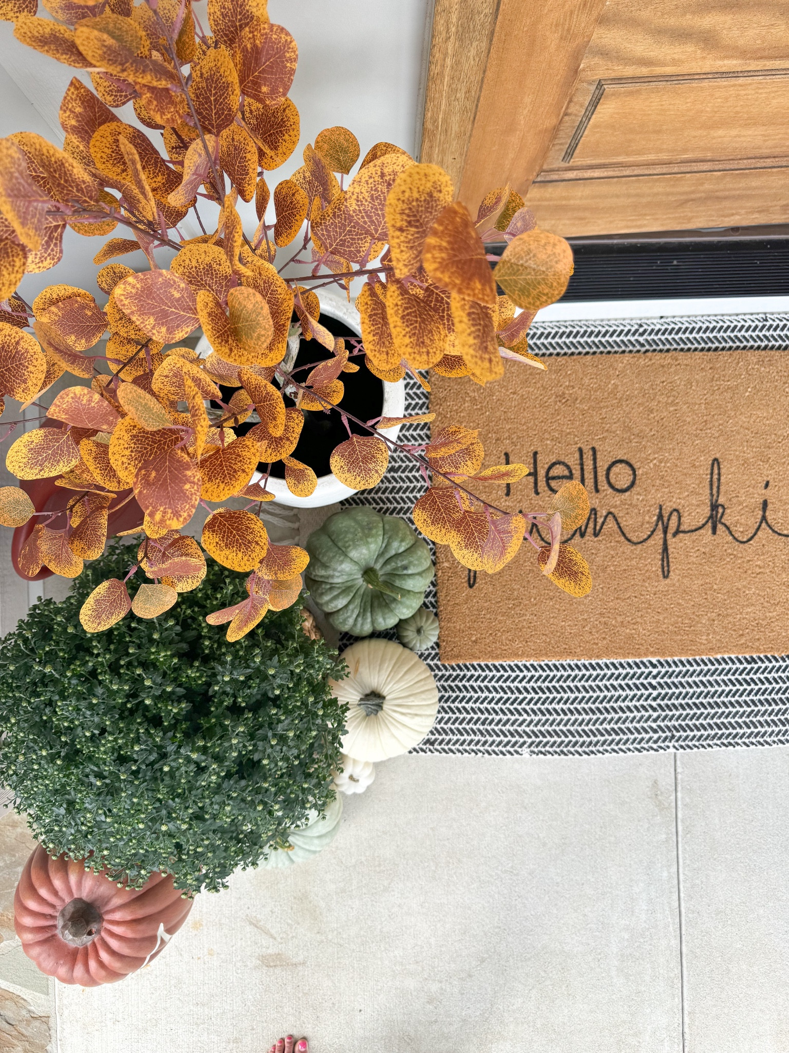 🍂Fall Front Porch 

#fallstyling #fallfrontporch #falldecor #pumpkinseason 

Front door wreath, fall wreath, fall mat, fall trees, faux tree, outdoor tree, porch decor, fall styling, fall decorating 

#LTKHome #LTKFallSale #LTKSeasonal