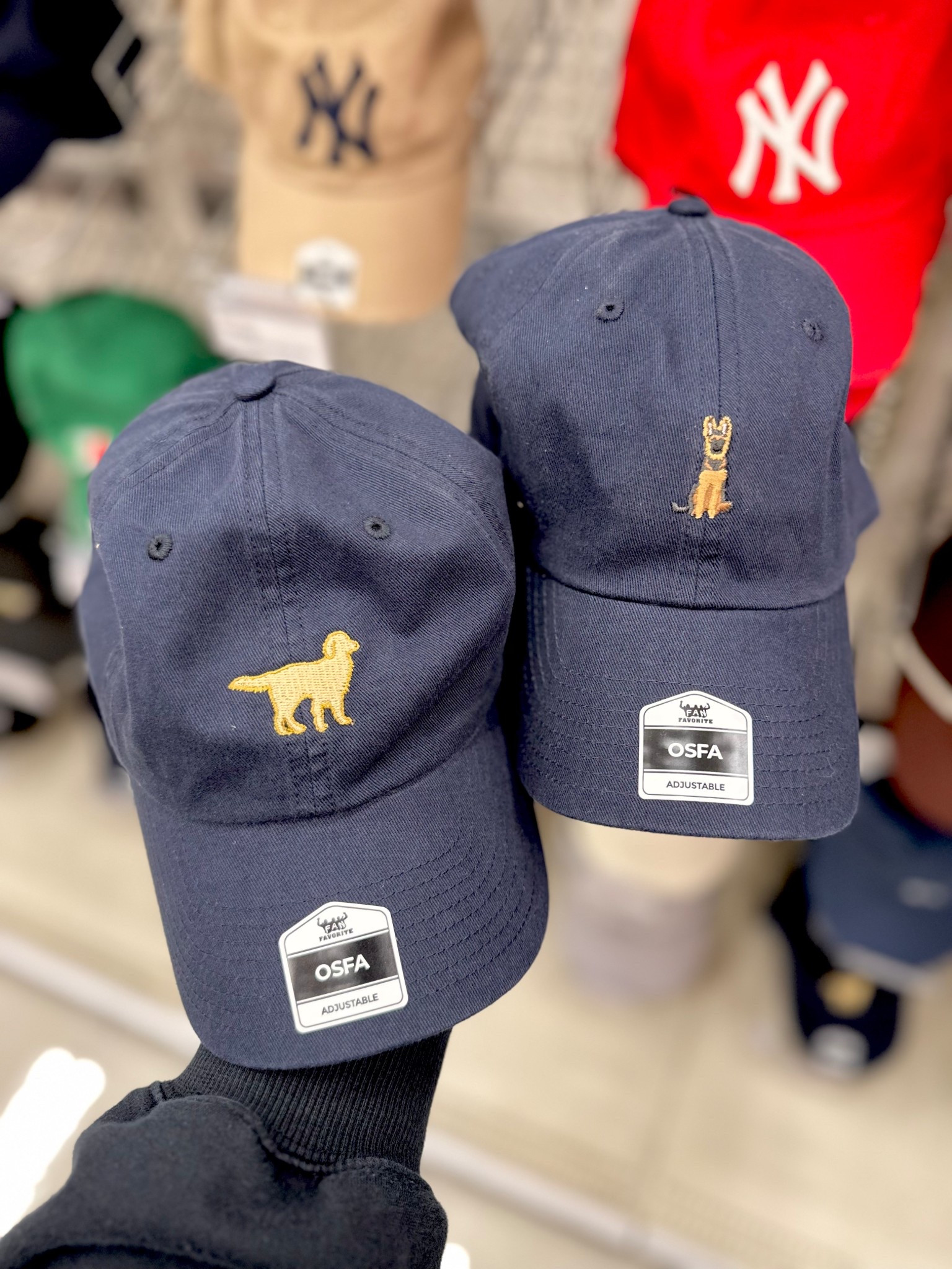 🐶 hats 

#LTKdayinmylife #LTKgrwm #LTKmomlife