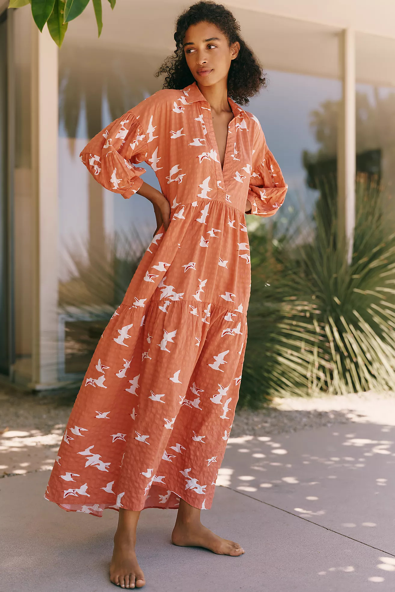Celandine Carolita Long-Sleeve Dress | Anthropologie (US)