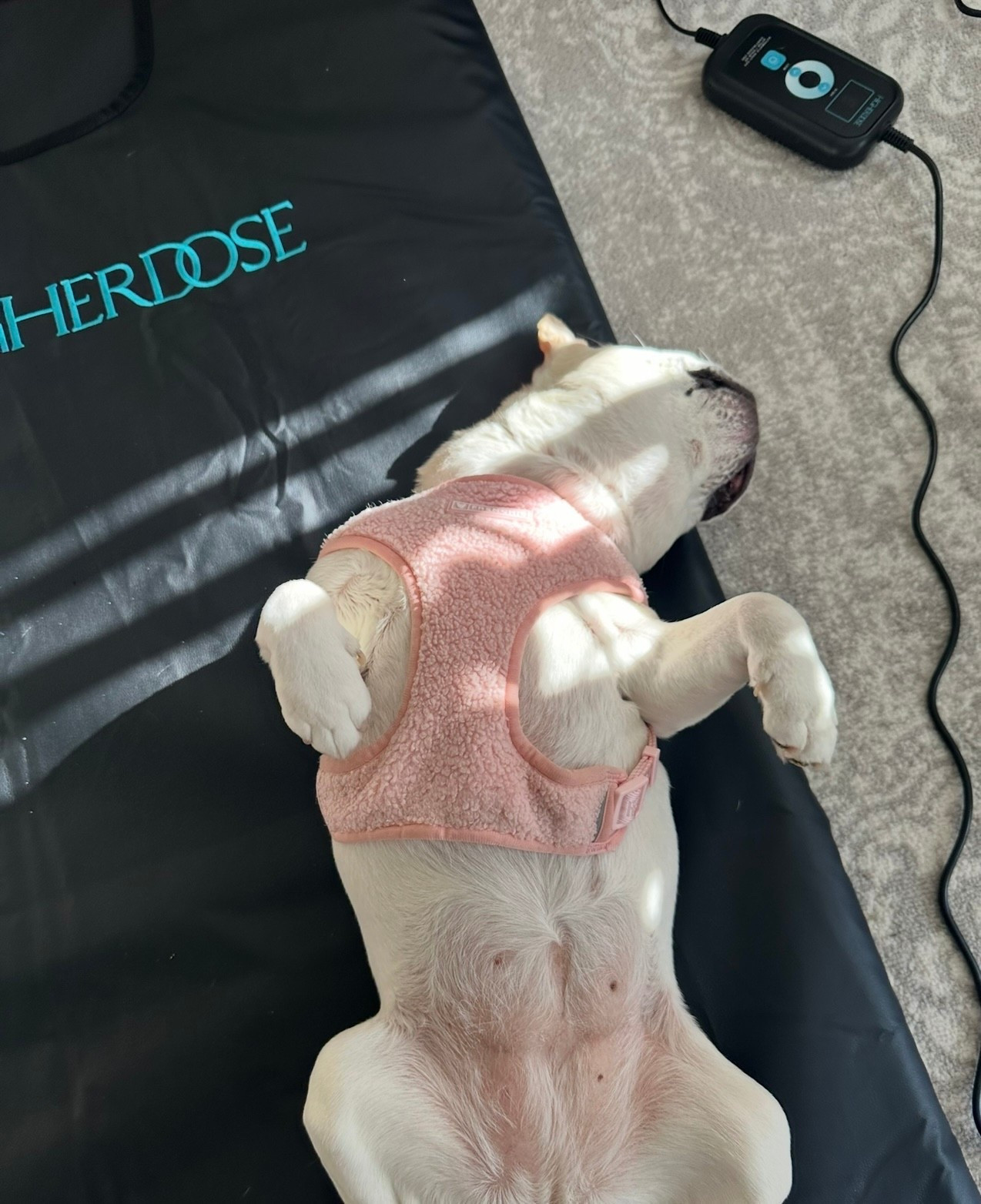 #LTKActive #LTKSaleAlert #LTKBeauty