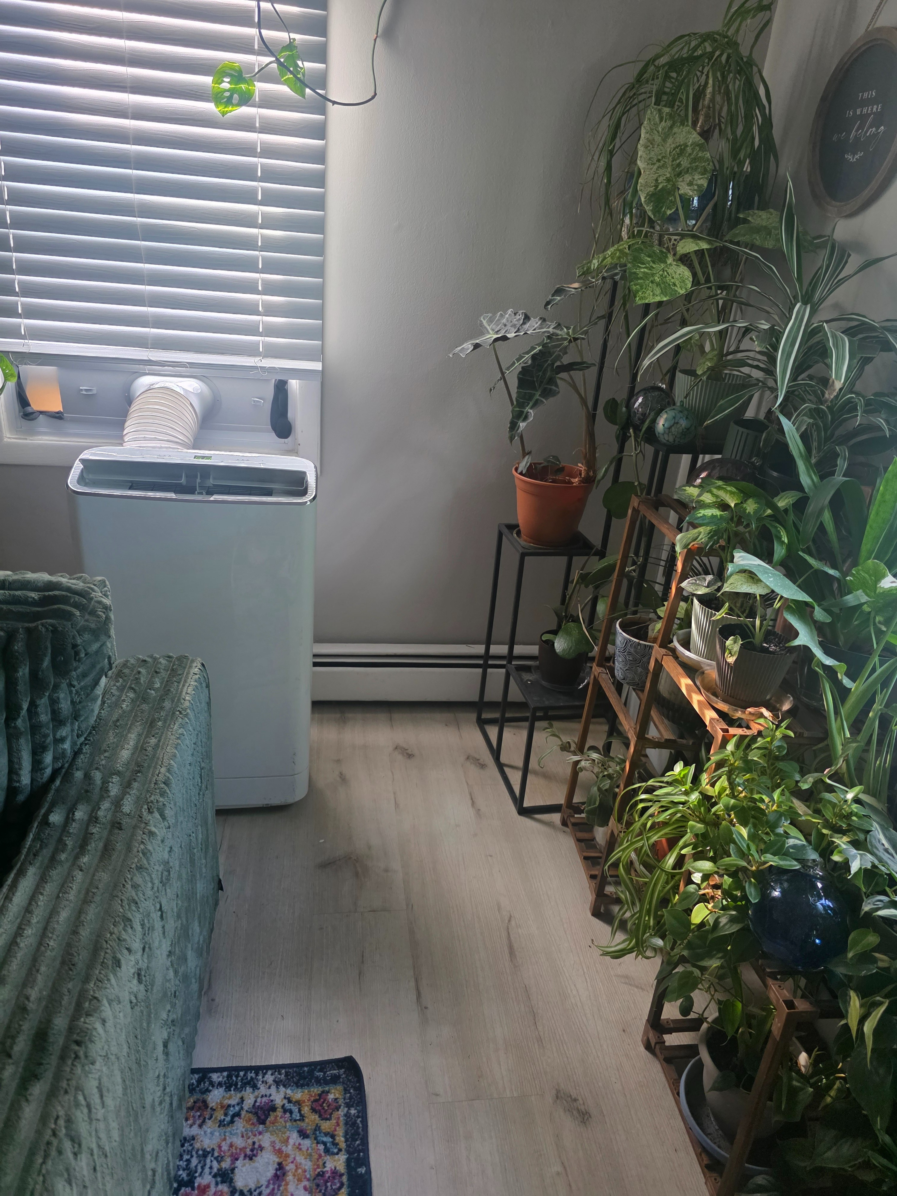 The real MVP of this photo .. That AC it's been a very long time since we haven't had central air and first heat wave of the new house... popped the hose in the window.. turned this miracle machine one and my entire downstairs was cooled down.  Literally the entire downstairs 👏🙌👏 One machine..and it rolls ... and it was easy to install.. and it's "smart" or whatever 🤣 go get one... 🔗⬇️

#LTKHome #LTKOver40 #LTKdayinmylife