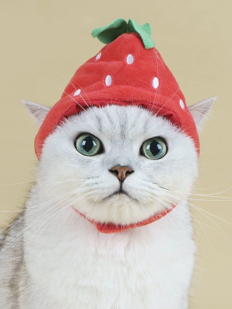 1pc Strawberry Design Pet Hat | SHEIN