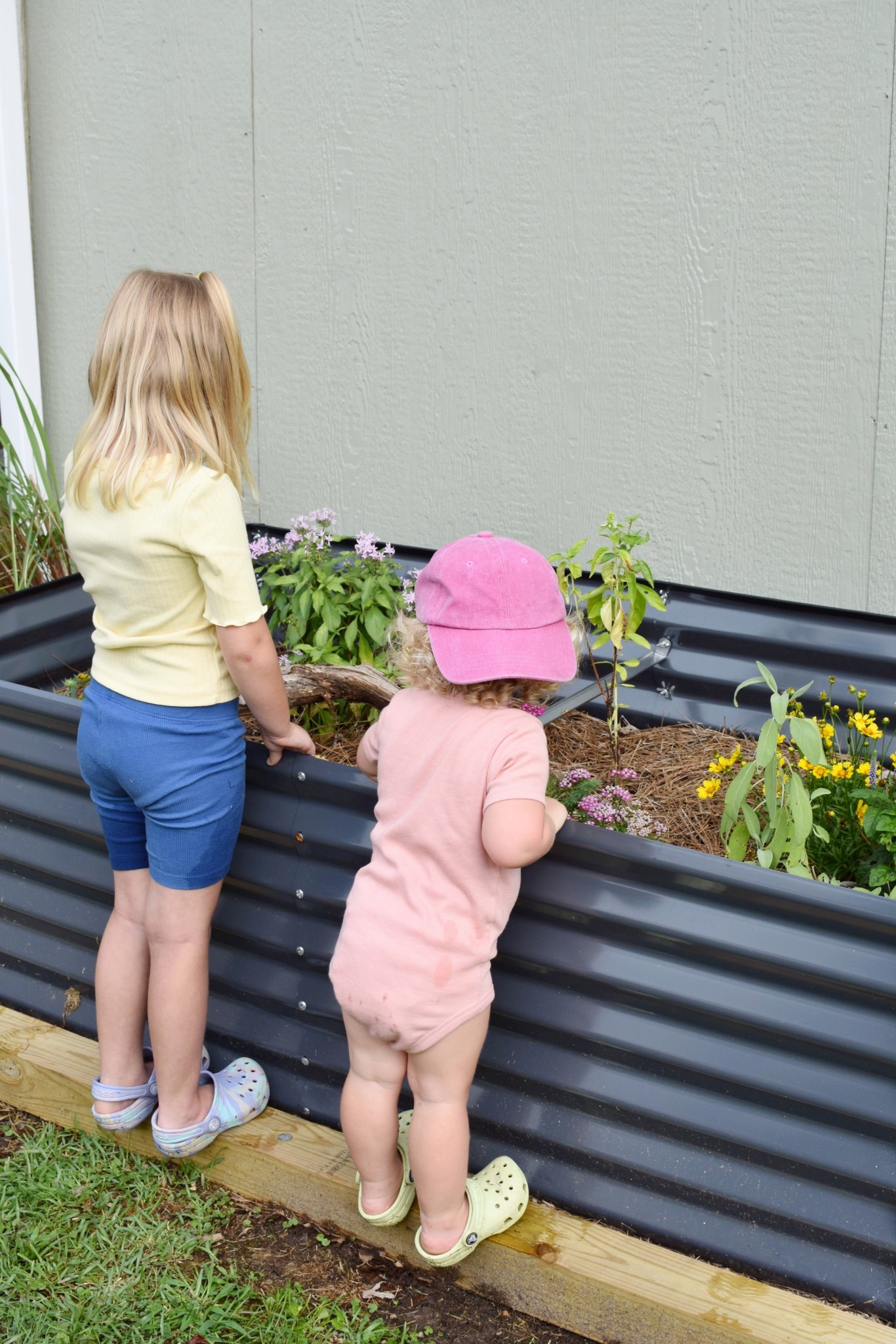 These are the southern wildflower seeds I’m scattering into our raised pollinator garden this year. 🦋 

#LTKSeasonal #LTKHome