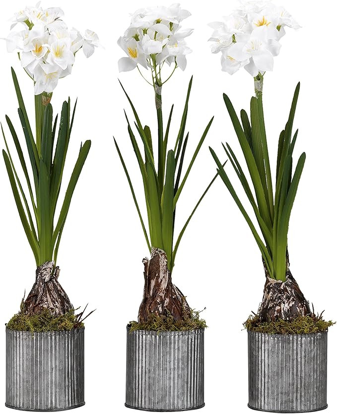 D & W Silks 175147 Paper Bulbs in Round Tin Planters, White/Green/Grey | Amazon (US)