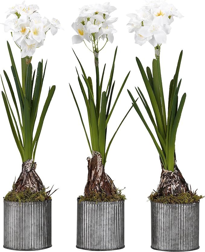 D & W Silks 175147 Paper Bulbs in Round Tin Planters, White/Green/Grey | Amazon (US)