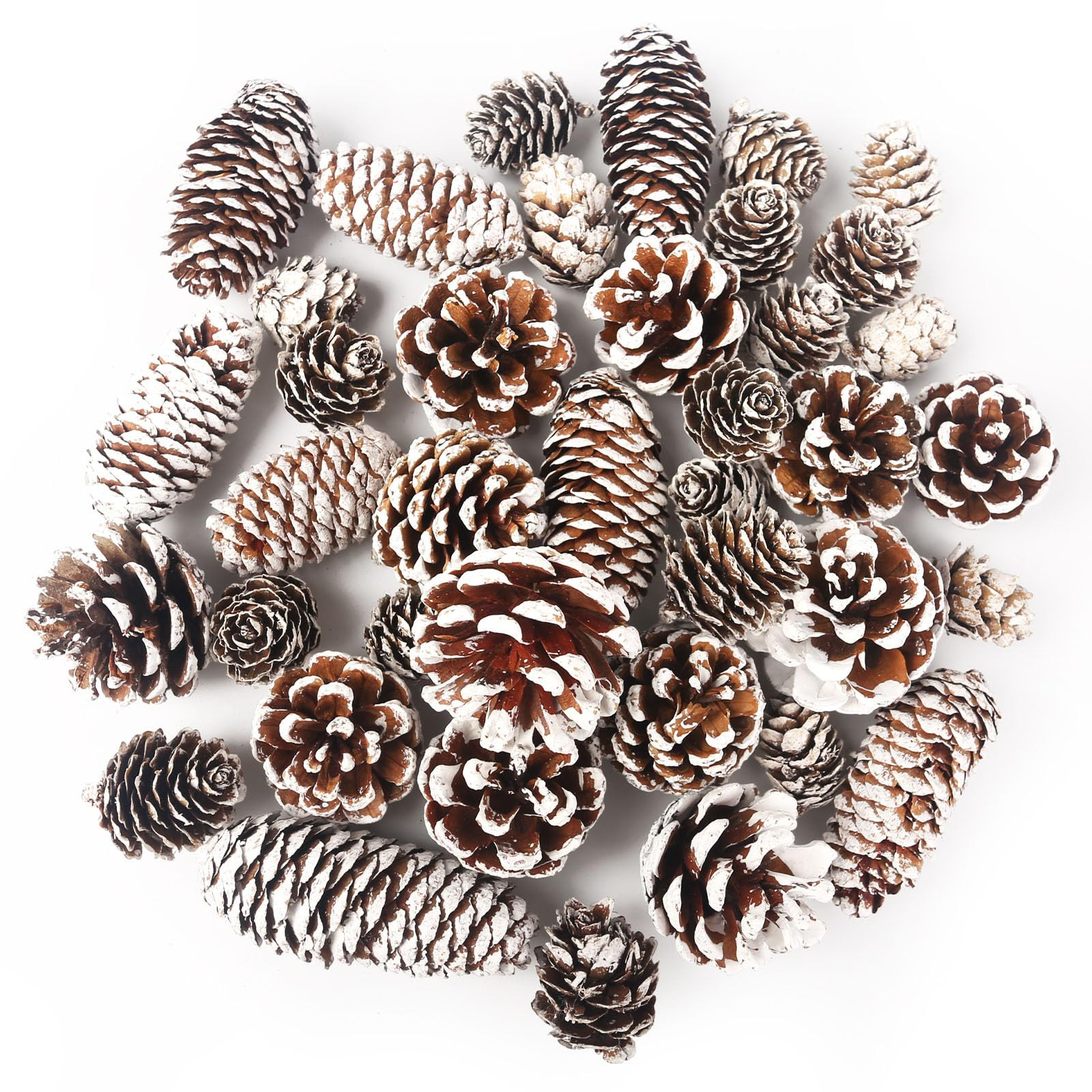 DomeStar 40PCS Snow Pine Cones for Crafts, Natural Cones Christmas Ornaments for Xmas Tree Wreath... | Amazon (US)