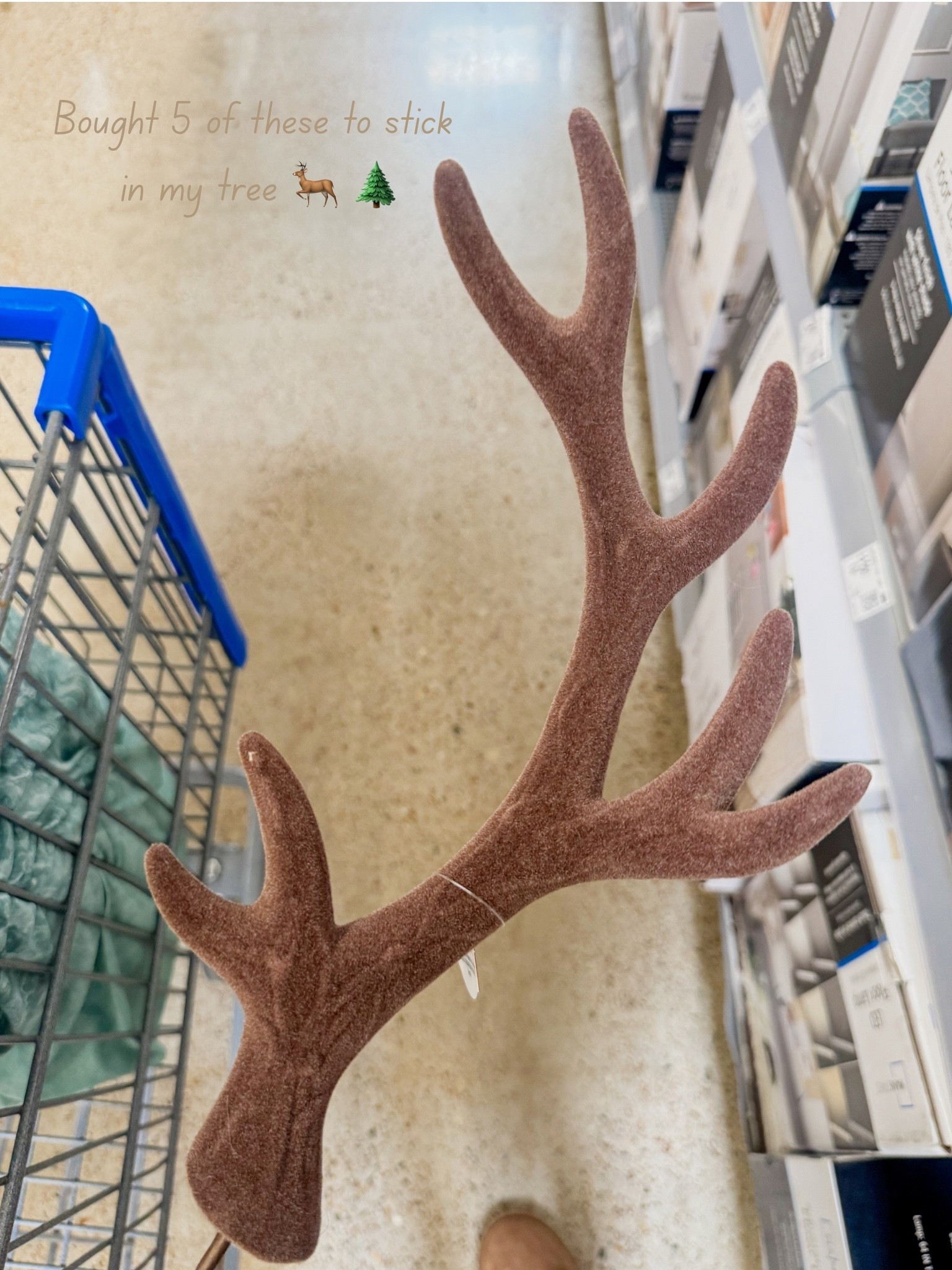 Put these in my tree and they are so beautiful ! 

#LTKHoliday #LTKSeasonal