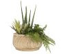 Decorative Paulownia Wood Bowl | Pottery Barn (US)