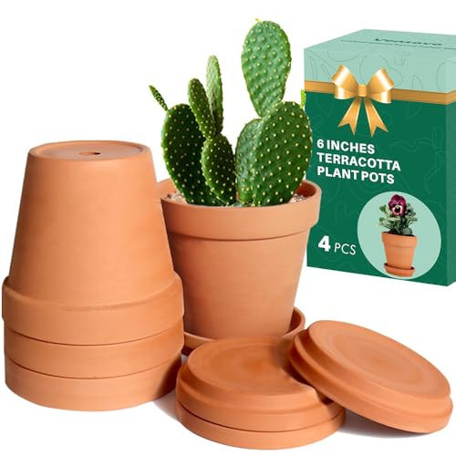 vensovo 6 Inch Terracotta & Clay Pots for Plant with Saucer - 4 Pack Medium Terra Cotta Planter with Drainage Hole, Flowerpot for Indoor Outdoor Plants, Crafts, Wedding Favor | Amazon (US)