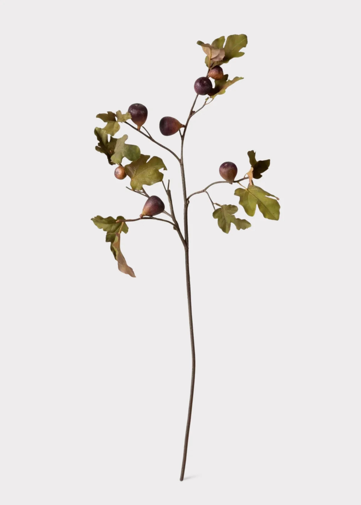 Dried Look Faux Fig Branch | Shop Botanicals at Afloral | Afloral