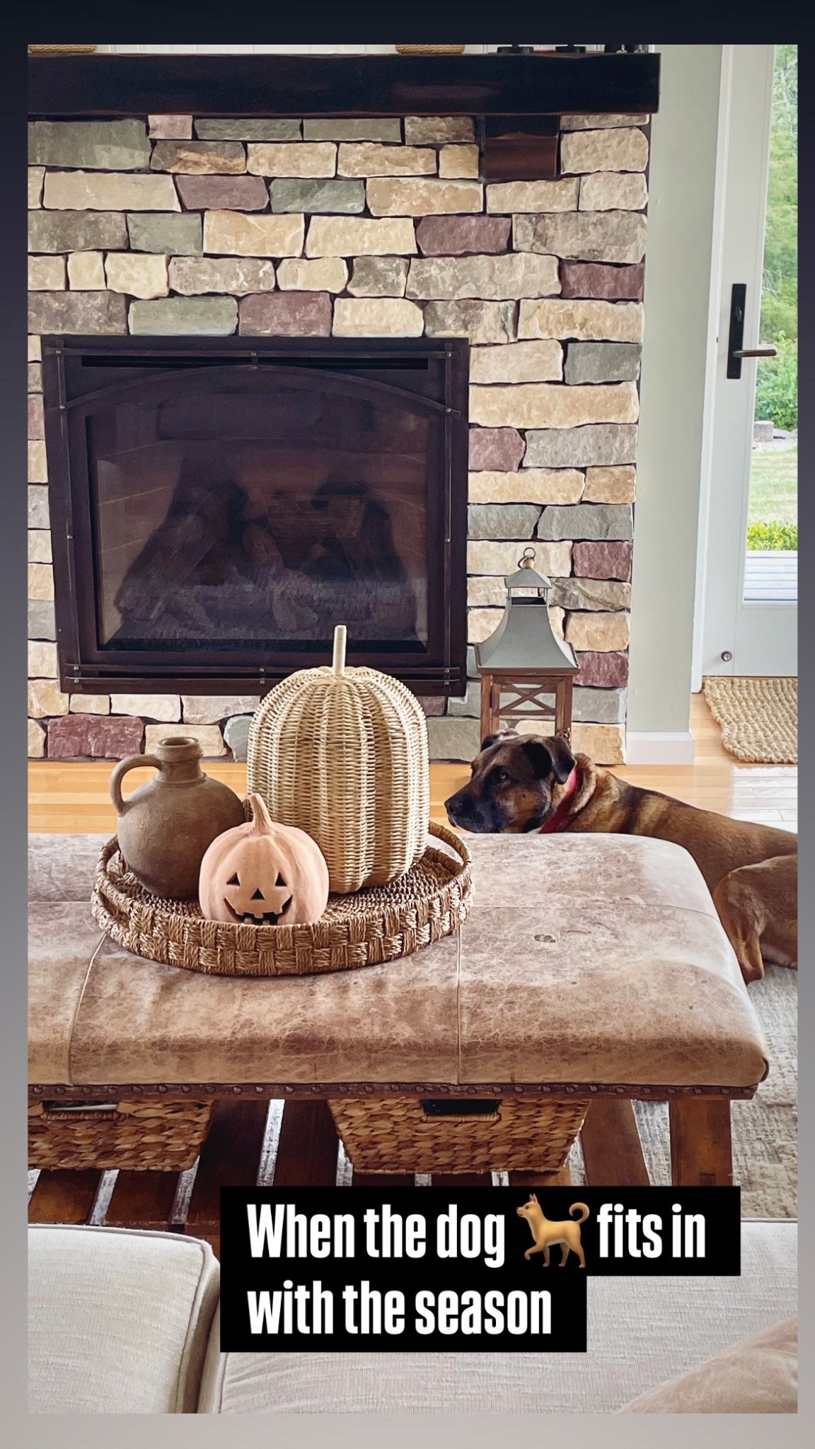 Fall decor from Pottery Barn has always been my favorite.  Although the prices are high the quality is better than any dupes.  

#LTKHome #LTKSaleAlert #LTKSeasonal