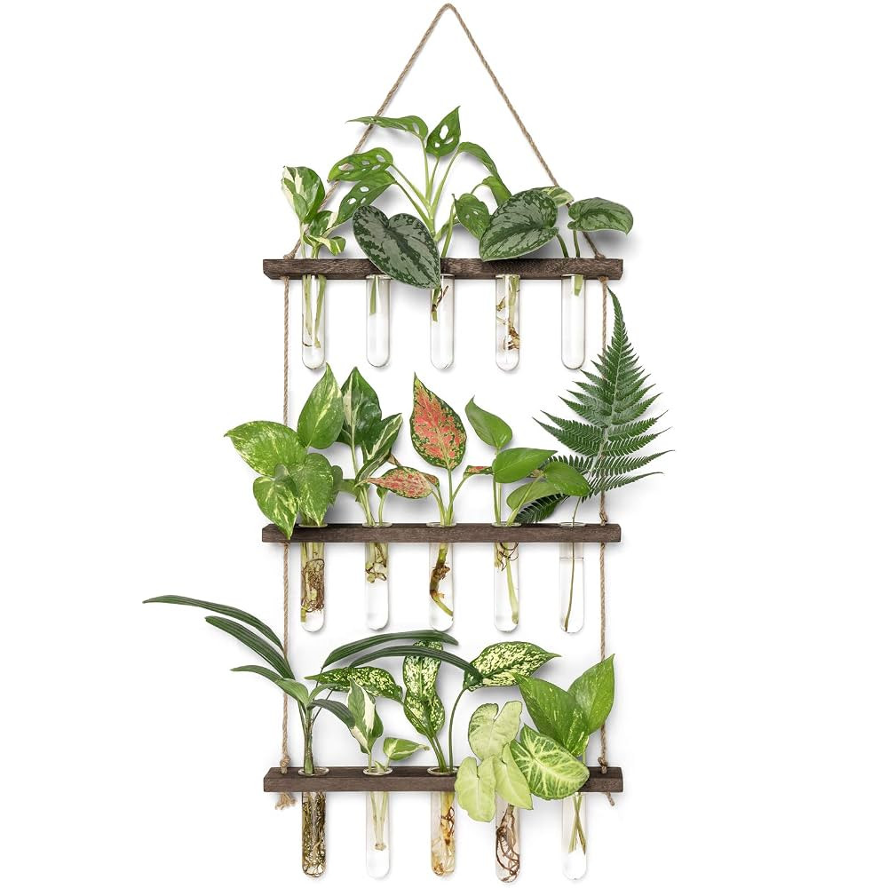 Mkono Plant Propagation Tubes, 3 Tiered Wall Hanging Terrarium with Wooden Stand Mini Test Tube F... | Amazon (US)