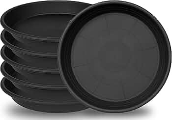 6 Pack Plant Saucer 10 inch, Heavy Duty Plastic Plant Saucers 10 inch, Durable Plant Tray for Pot... | Amazon (US)