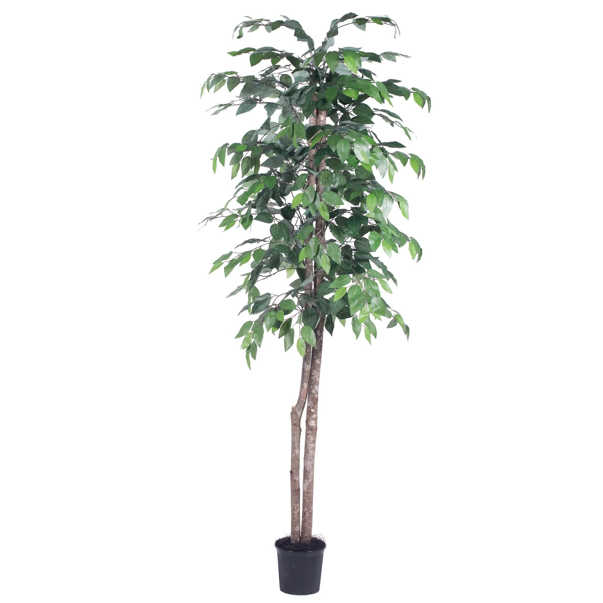 Vickerman 6' Artificial Ficus Tree in Black Pot - Walmart.com | Walmart (US)