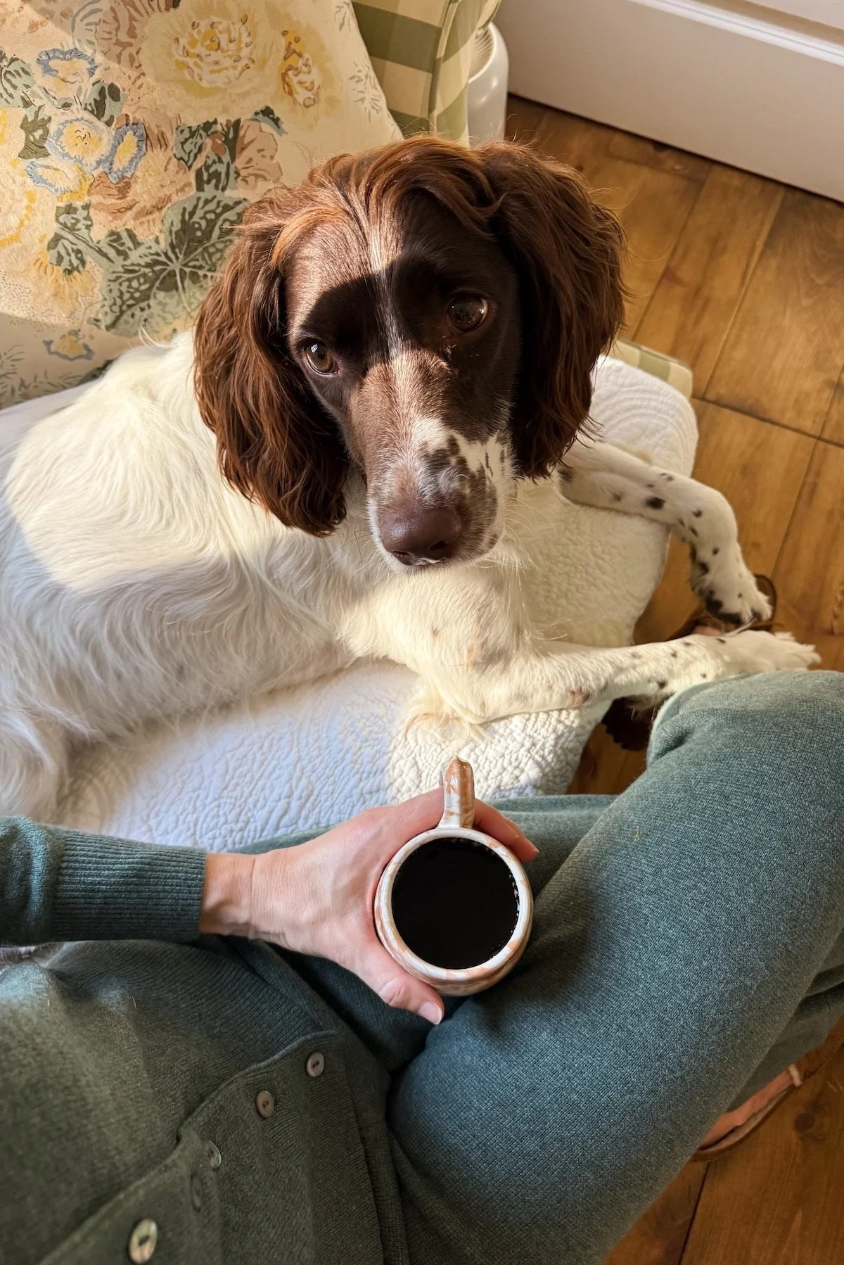 #LTKootd #LTKHome #LTKmorningroutine