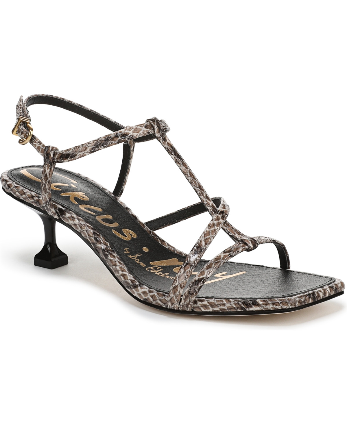 Circus Ny by Sam Edelman Women's Jaida Strappy Mid-Heel Dress Sandals - Taupe Snake Multi | Macy's