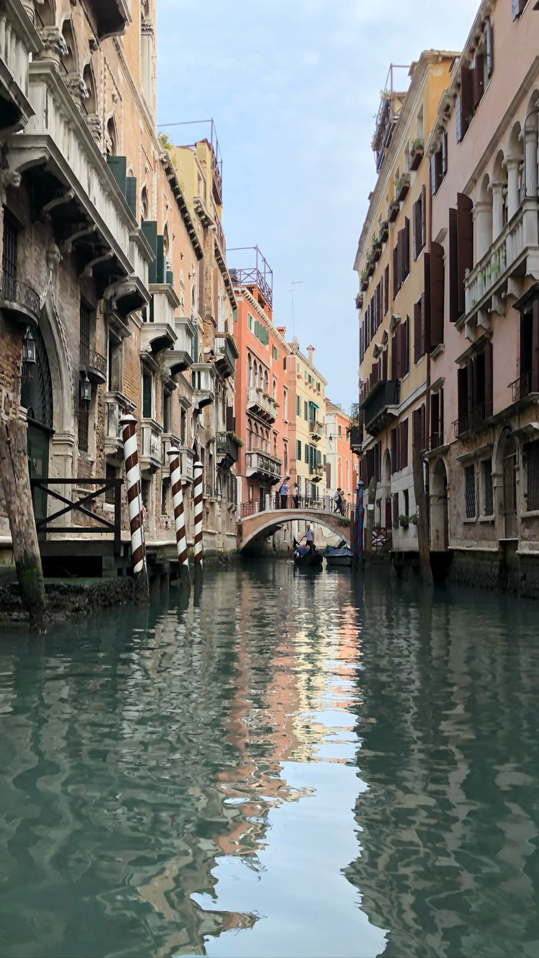 Leaving in less than a week and these items are on my list! 

#LTKOver40 #LTKActive #LTKTravel