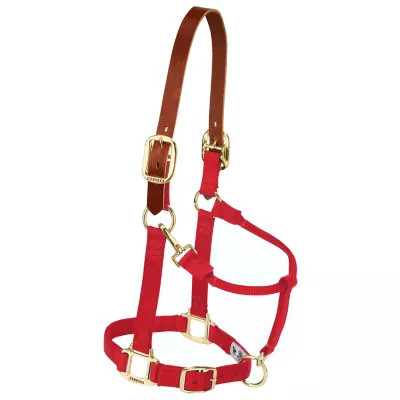 Weaver Equine  Original Breakaway Horse Halter with Adjustable Chin and Throat Snap | Tractor Supply