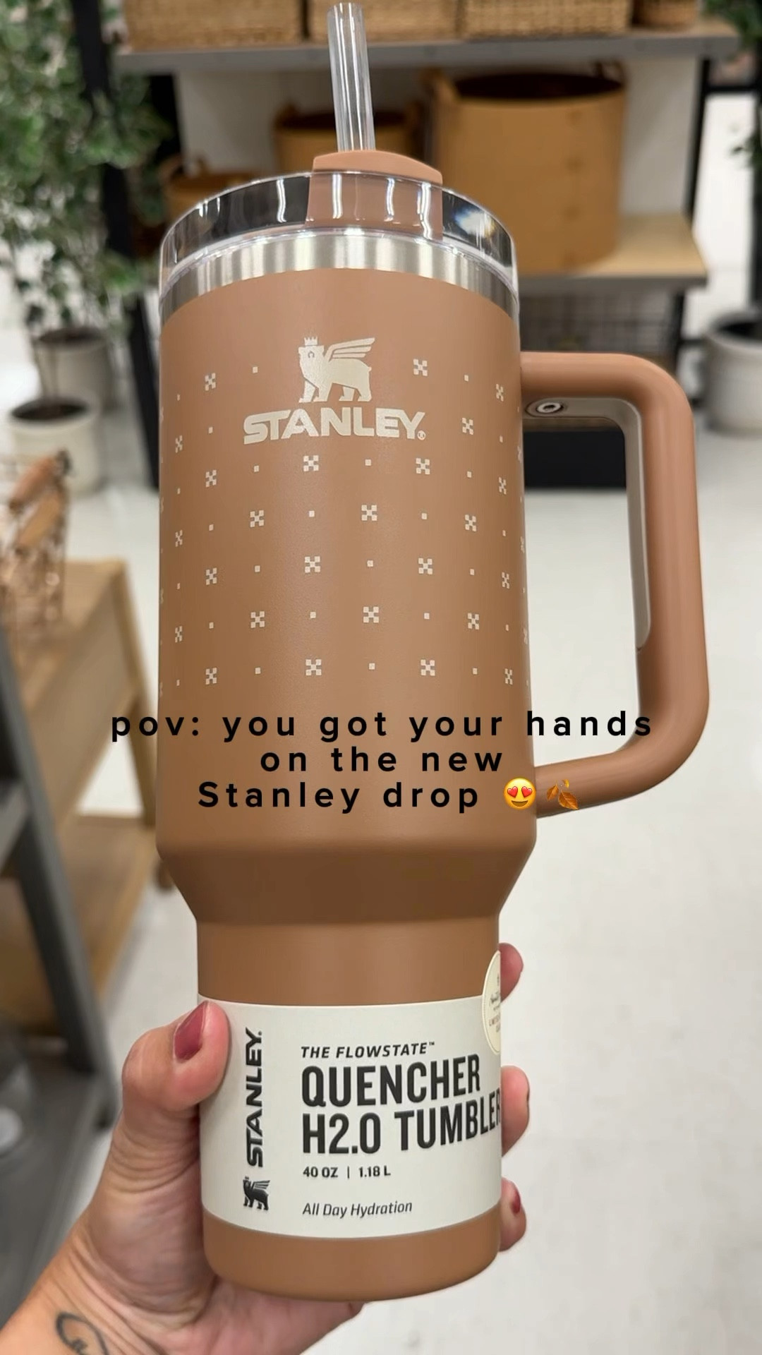 The new Stanley drop at Target is 🔥

#LTKBacktoSchool #LTKTravel