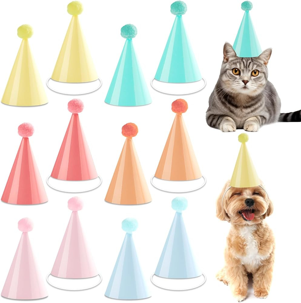 48Pcs Mini Pastel Birthday Party Hats for Stuffed Animals 5Inch Adjustable Cone Caps with DIY Pom... | Amazon (US)