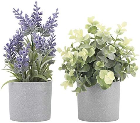 Set of 2 Artificial Potted Plants Potted Eucalyptus Plant Small Artificial Lavender Flowers in Gr... | Amazon (US)