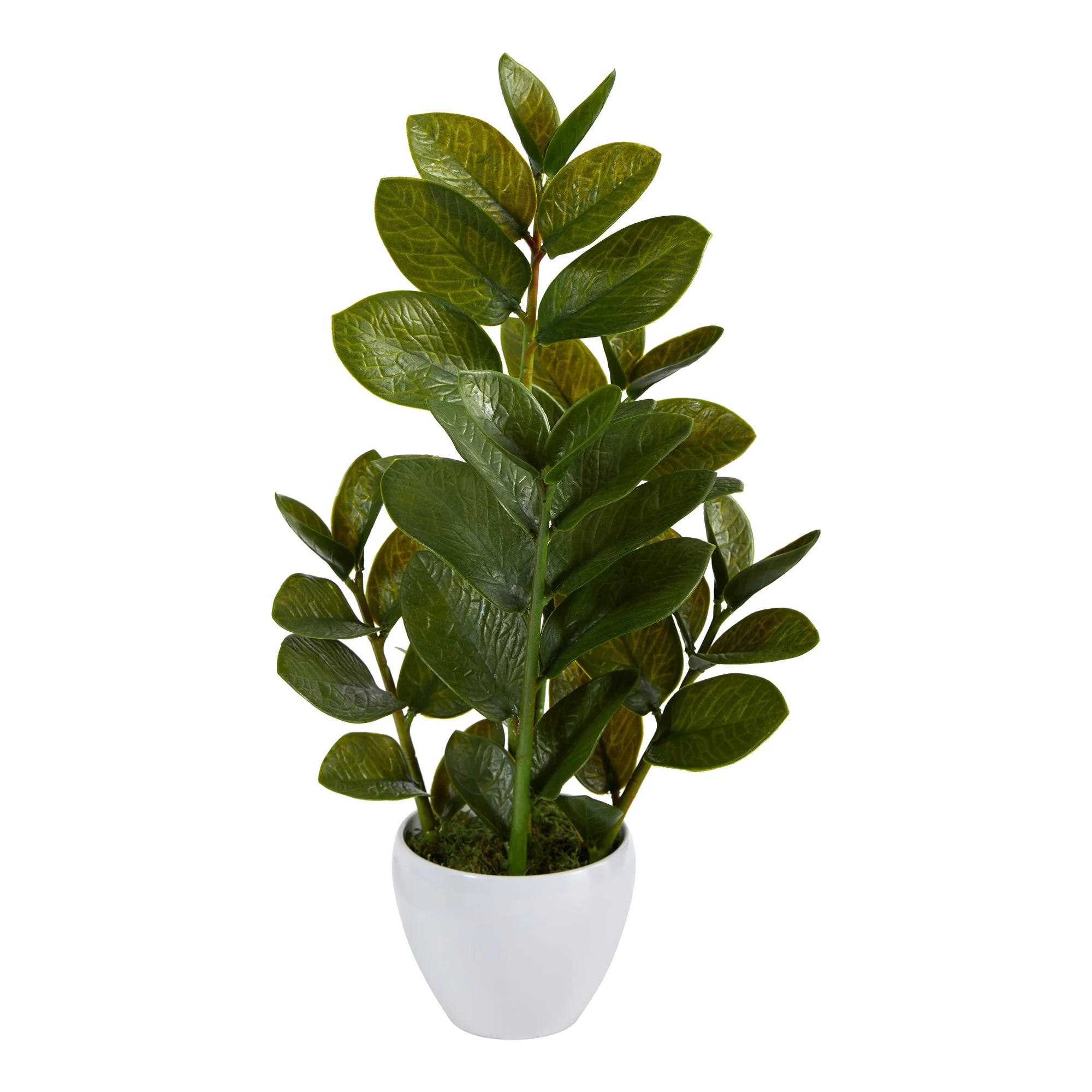 Zamioculcas Artificial Plant in White Planter 22 | Shop Simon