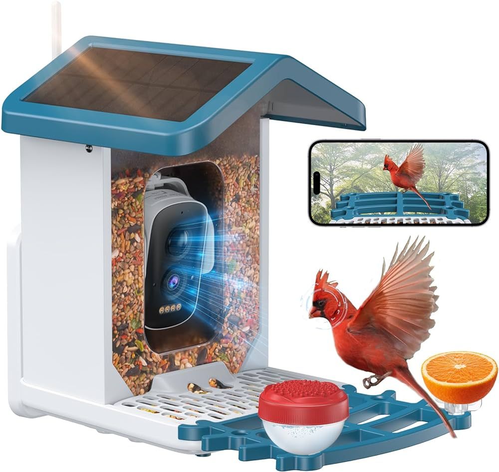 Smart Bird Feeder Camera, Solar-Powered Bird Feeder Camera with 4MP Camera, AI Identify 11000+ Sp... | Amazon (US)