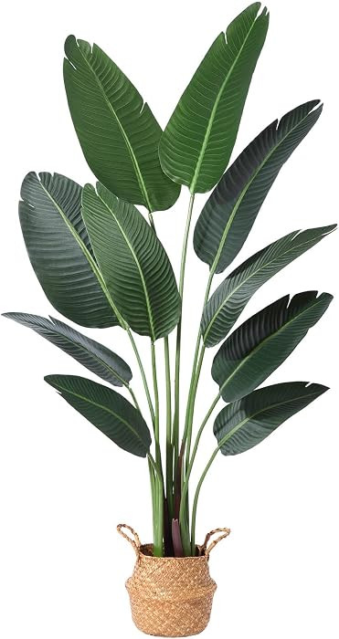 5ft Bird of Paradise Artificial Plant with 10 Trunks in Woven Seagrass Pot, Faux Tropical Tree for Indoor & Outdoor Home Décor, Green | Amazon (US)