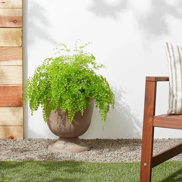 Myrtle Avenue Urn Planter | Wayfair North America