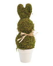 12in Boxwood Bunny In Pot | TJ Maxx