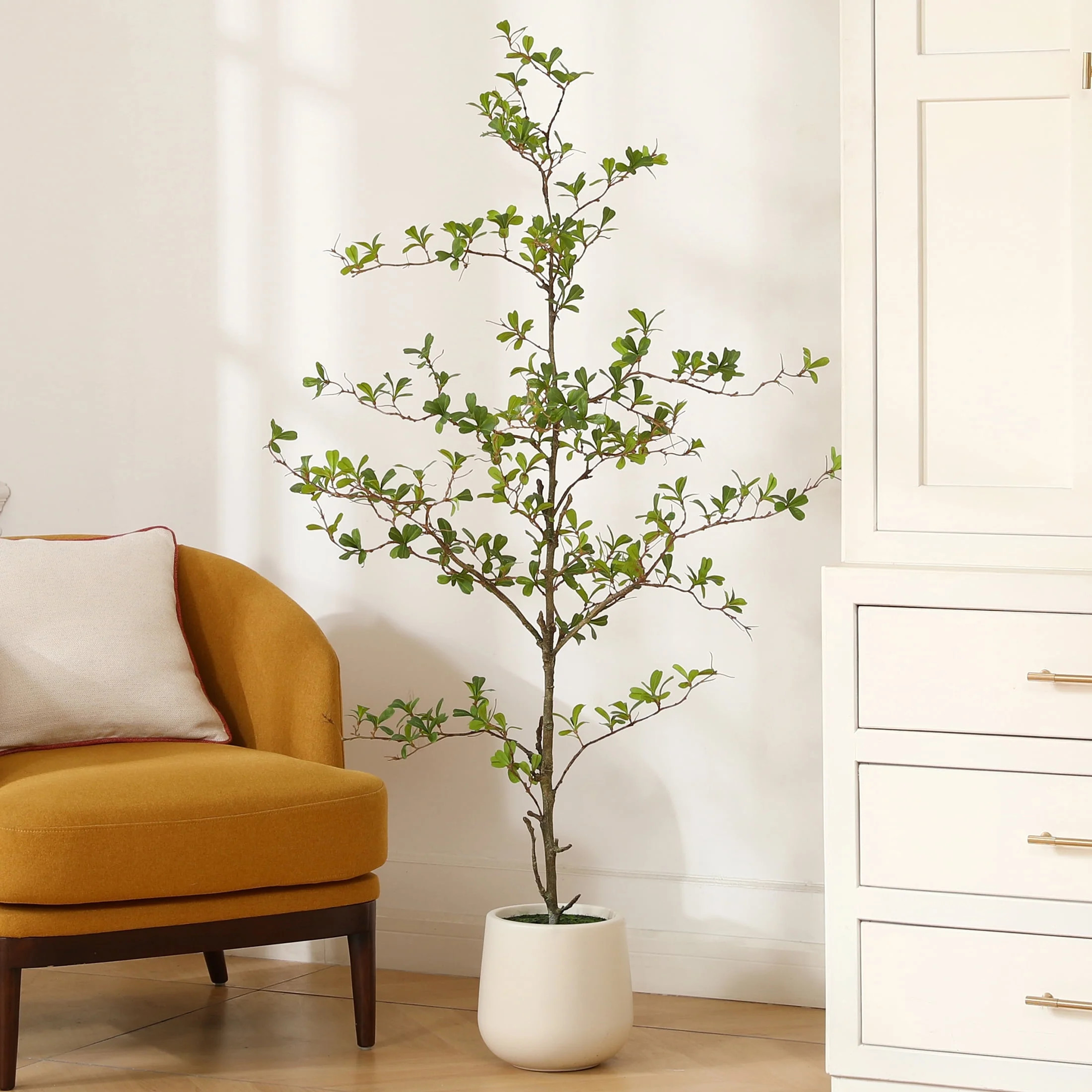 5ft Artificial Black Olive Tree with 9 inch White Planter, Tall Fake Shady Lady Tree for Indoor H... | Walmart (US)