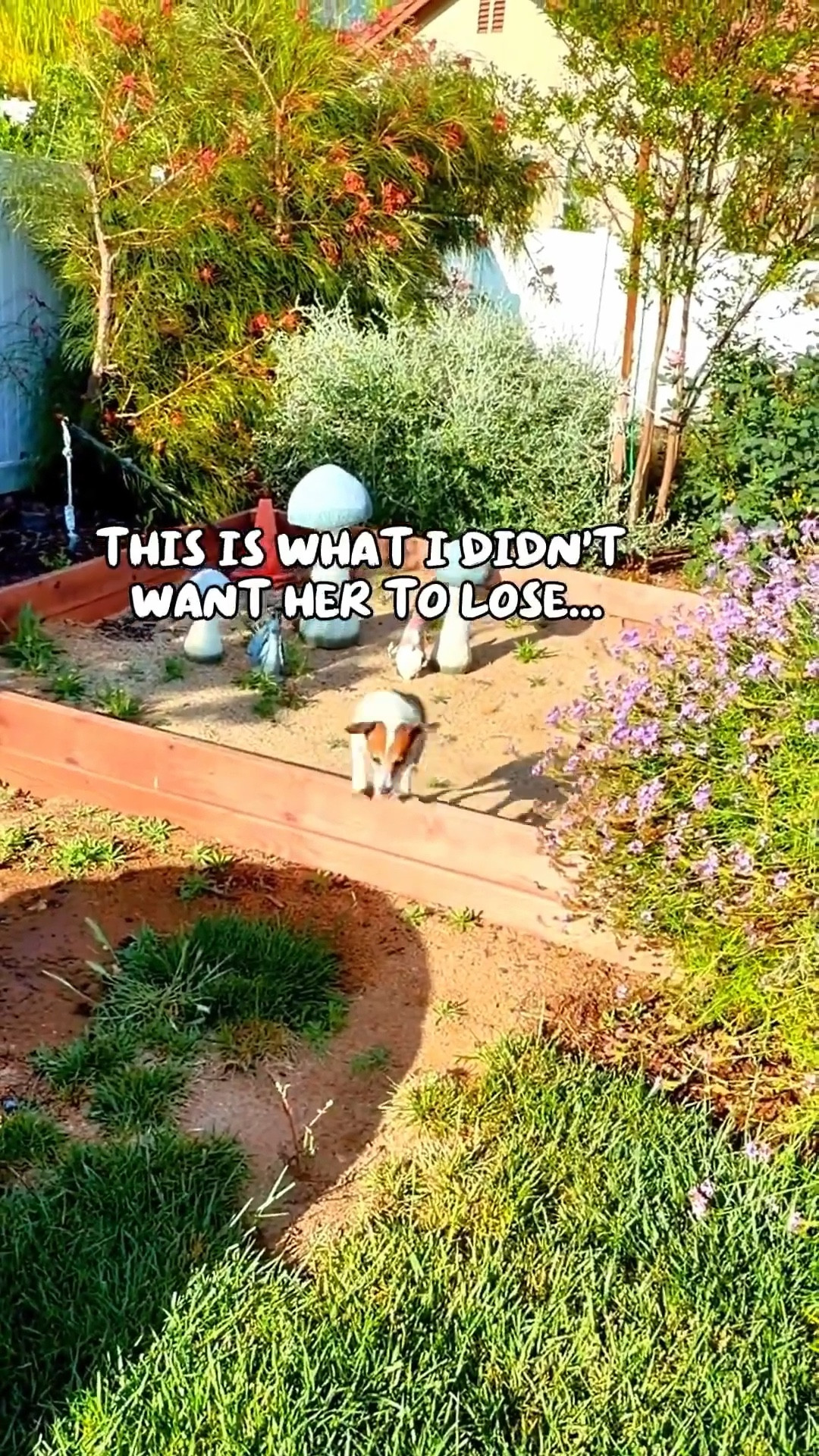 This is what I didn’t want her to lose 💛🐾

Still playing. Still her.

Make sure you check for coupons. Don’t take my word for it. Check out the reviews below.

These statements are for general wellness and not medical advice. Always consult your vet before introducing new supplements.

#ZestyPaws #PetWellness #HappyPets #DogMobility

Comment SHOP below to receive a DM with the link to this post on my LTK ⬇ https://liketk.it/64hMq #ltkdayinmylife