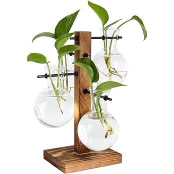 Amazon.com: PAG Plant Terrariums Kit Desktop Hydroponics Air Planter Holder with 4 Bulb Beaker Glass | Amazon (US)