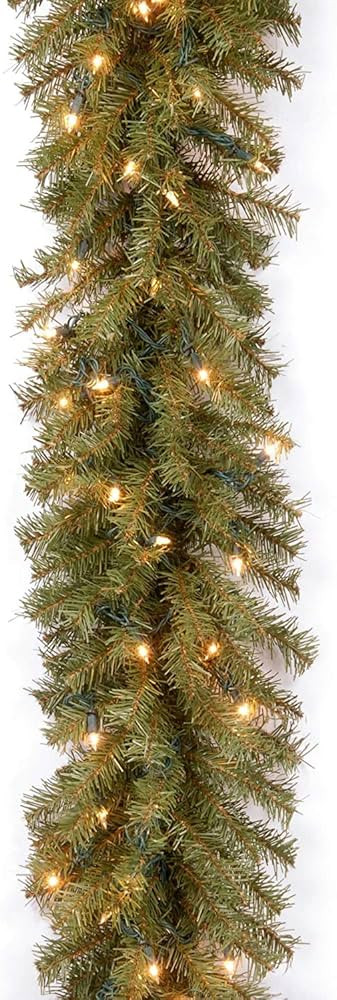 National Tree Company Pre-Lit Artificial Christmas Garland, Green, Norwood Fir, White Lights, Plu... | Amazon (US)