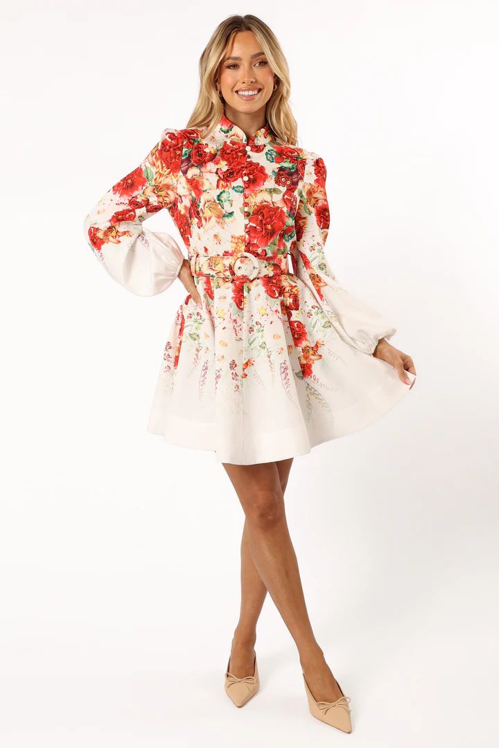 Pipps Long Sleeve Mini Dress - Multi | Petal & Pup (US)