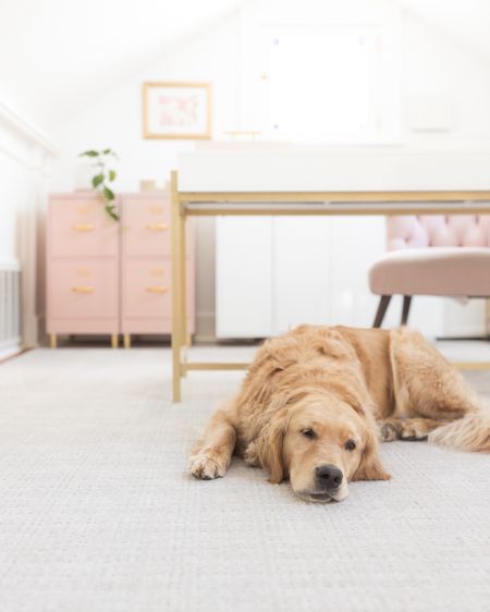 Nellie the office dog 🐾 linking pink office details (including my exact pink filing cabinets and white and gold desk)! 

#LTKhome